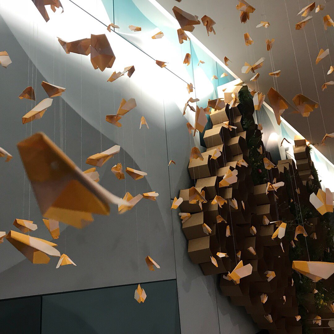 Nick Philip tweet media