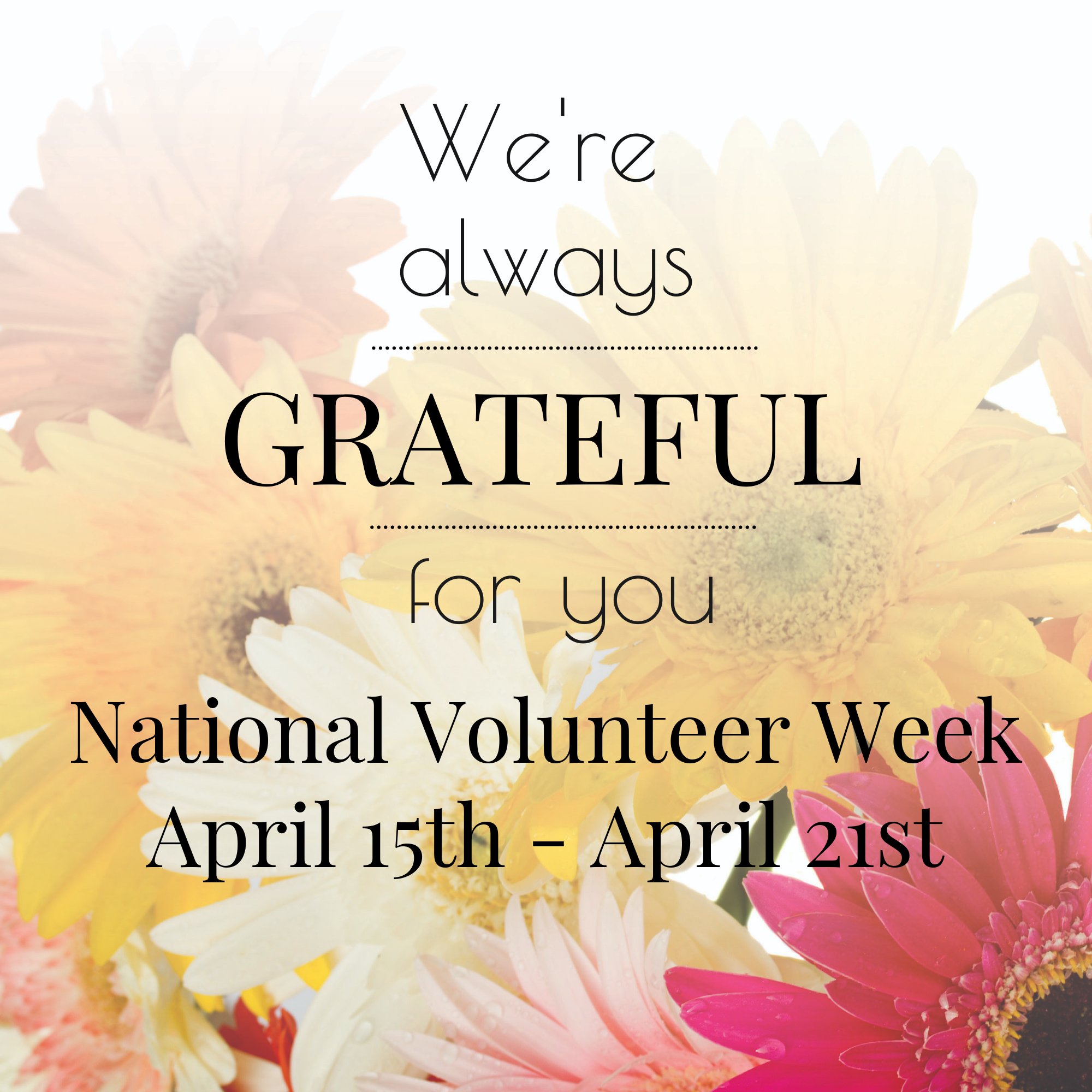 NL Health Foundation on Twitter "Happy NationalVolunteerWeek2018 to
