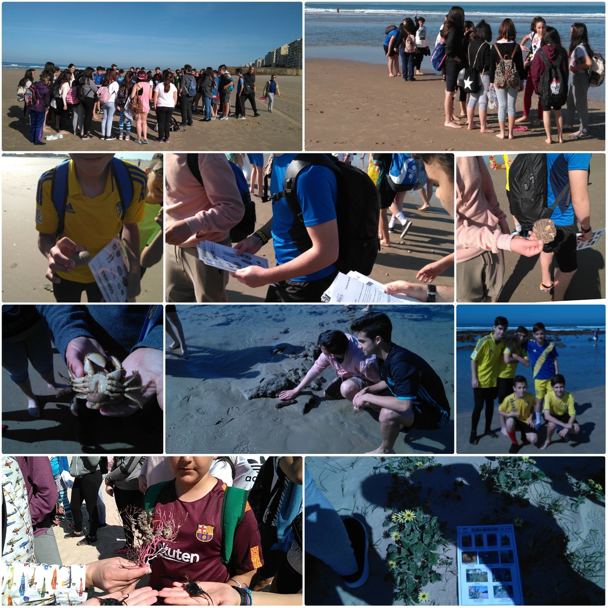 ecotempul's tweet image. Estupendo día en Cádiz con PLEAMAR (en Bajamar!) #aldea @EcoescuelasAND #programapleamar #correlimos
