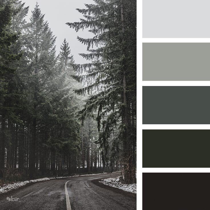 Белая цветовая схема. Цветовые сочетания. Мрачные сочетания цветов. Мрачная цветовая палитра. Мрачная палитра цветов.
