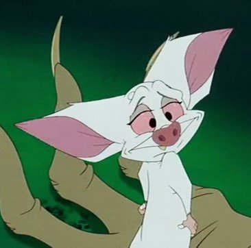 ShakespeareDuos's tweet photo. Just because! Favourite #bat and current #mood = Bartok! #Anastasia #Tuesdaythoughts #BatAppreciationDay https://t.co/nGu3aD5TWh