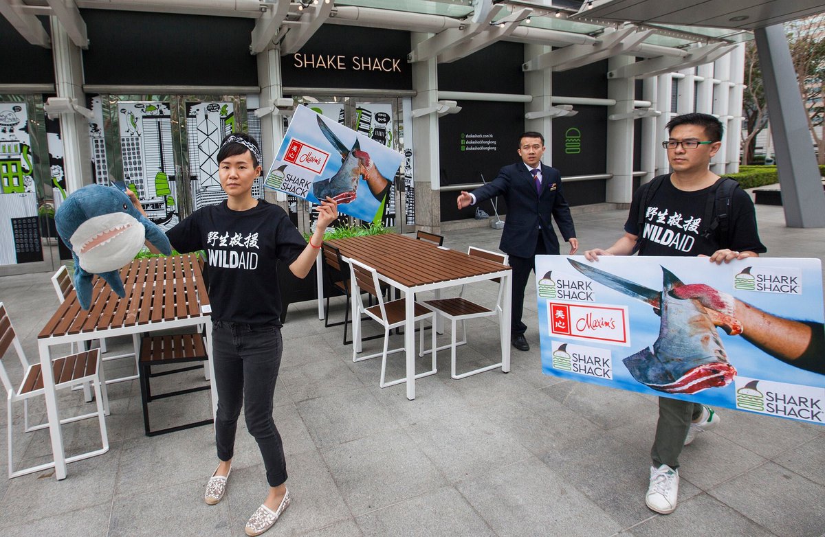 SLOceanSchool's tweet photo. On Saturday @WildAidHK crashed @shakeshack's soft opening in Hong Kong. We're calling on them to Stand For Something Good® by ditching their #shark killer partner Maxim's. Here's the ignored letter to them:
https://t.co/Djf0OYsUhx #SharkShack
#StandForSomethingBad
#CSRFail https://t.co/TGU1wL0an3