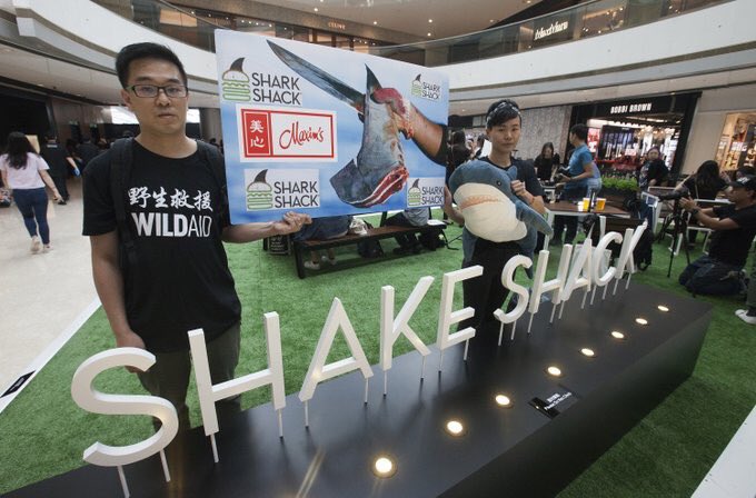 SLOceanSchool's tweet photo. On Saturday @WildAidHK crashed @shakeshack's soft opening in Hong Kong. We're calling on them to Stand For Something Good® by ditching their #shark killer partner Maxim's. Here's the ignored letter to them:
https://t.co/Djf0OYsUhx #SharkShack
#StandForSomethingBad
#CSRFail https://t.co/TGU1wL0an3