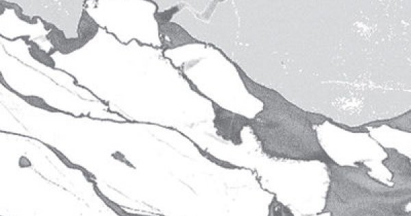 Archie Hamilton tweet media