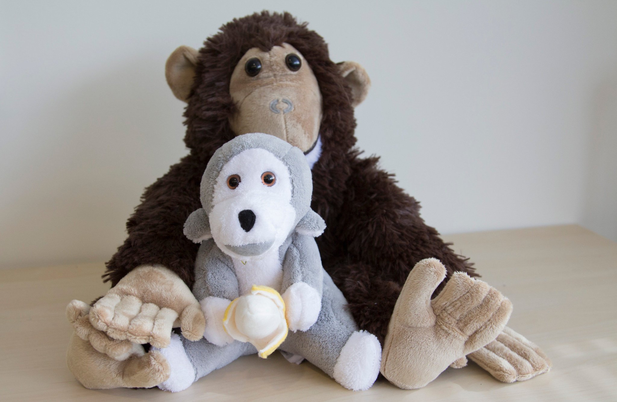 jane goodall stuffed monkey