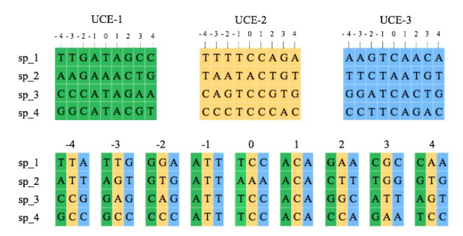 fsantini2015's tweet photo. Estimating improved partitioning schemes for UltraConserved Elements (UCEs)
https://t.co/IJSqEHEF7G https://t.co/USpoFC1HIY