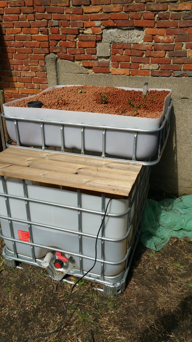 AtheneumMXM's tweet photo. De lente is er. De tuinprojecten worden verder in ontwikkeling genomen. Watermunt in de wetenschapsvijver en opstart van #AQUAPONICS. De filterlaag wordt aangelegd. Stap 1 is gezet. Meer foto's en info volgen van alle projectfasen.
@GOinAntwerpen @GO_onderwijs #MAXMODULE #STEM https://t.co/VkwLNgfprG