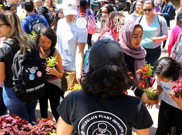 PlantInitiative's tweet photo. We ❤️ our students... and our sponsors! Thank you to @AltmanPlants  American Floral Endowment, and @Proven_Winners for making our plant drops possible! We can’t thank you enough 💚 https://t.co/xON2C0hdqZ