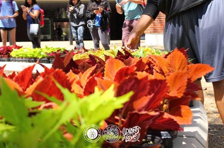 PlantInitiative's tweet photo. We ❤️ our students... and our sponsors! Thank you to @AltmanPlants  American Floral Endowment, and @Proven_Winners for making our plant drops possible! We can’t thank you enough 💚 https://t.co/xON2C0hdqZ