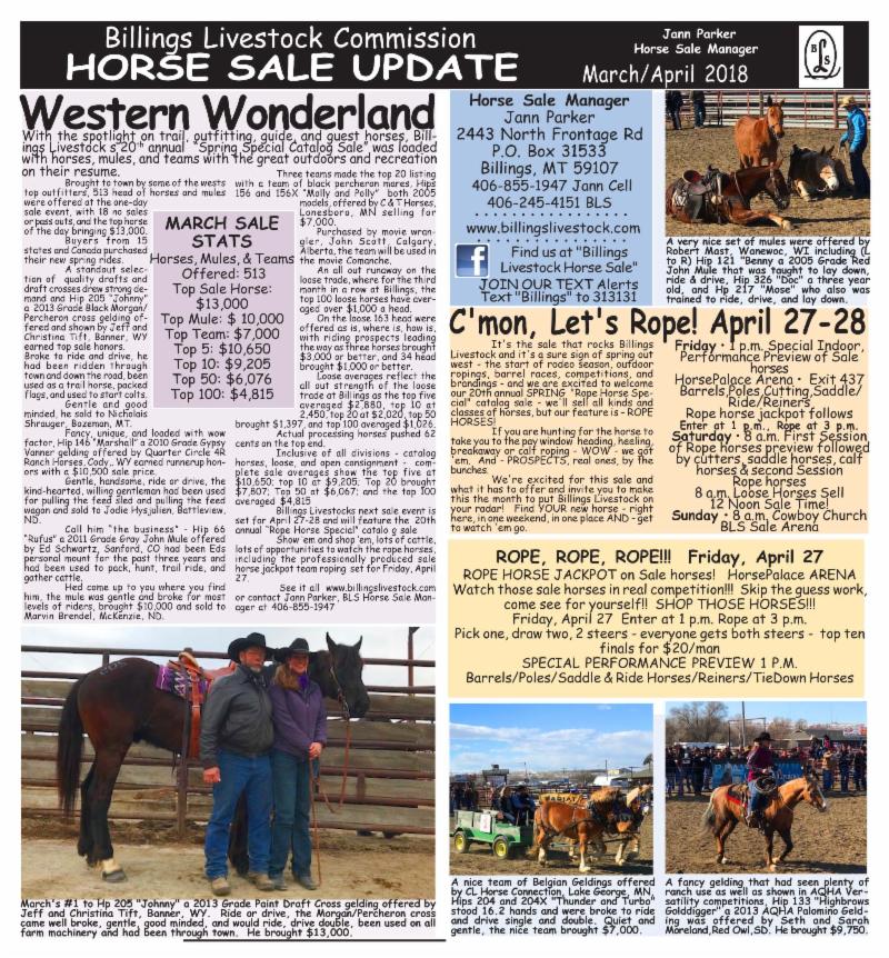 BLSHorseSale's tweet photo. Find YOUR spring ride! Right here - April 27-28 at Billings Livestock. Join us.#cowboyslivehere #hellospring #letsrope https://t.co/QKc2aKH3xF https://t.co/S8FOL0t9Us