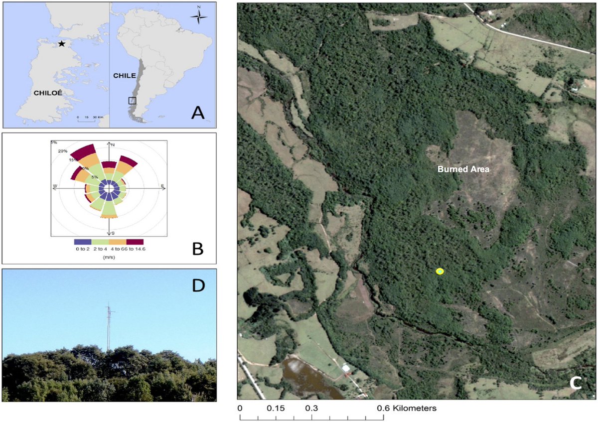 ESAEcosphere's tweet photo. #Carbon sink #dynamics of a Southern Hemisphere #temperate #rainforest. #eddyflux #sourcesink #Patagonia #SendaDarwin @IEBChile 

https://t.co/bfFR80nrFA https://t.co/8eePuE3e9M