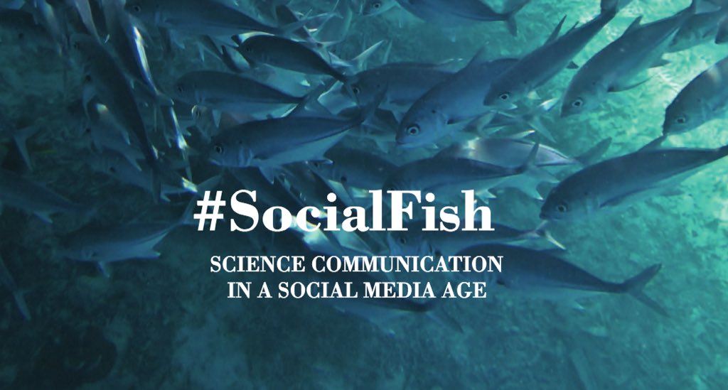 AFS_SciComm's tweet photo. The #SocialFish #Scicomm issue of Fisheries is here! Check out our welcome article: https://t.co/sDoFZS386X
Full issue TOC: https://t.co/uHzxVhpBbz https://t.co/M5EfurY7yF
