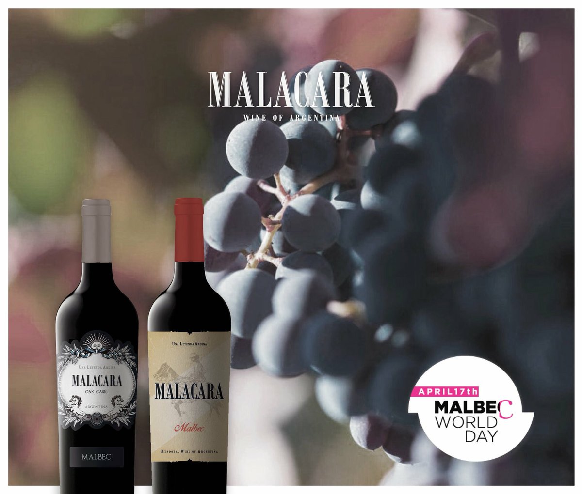 malacarawines's tweet photo. It's officially our Day! Malbec World Day 🍷🍷
#MalbecWorldDay #MalbecArgentino #MalbecWeek #malbec https://t.co/3xgsKGkcfh