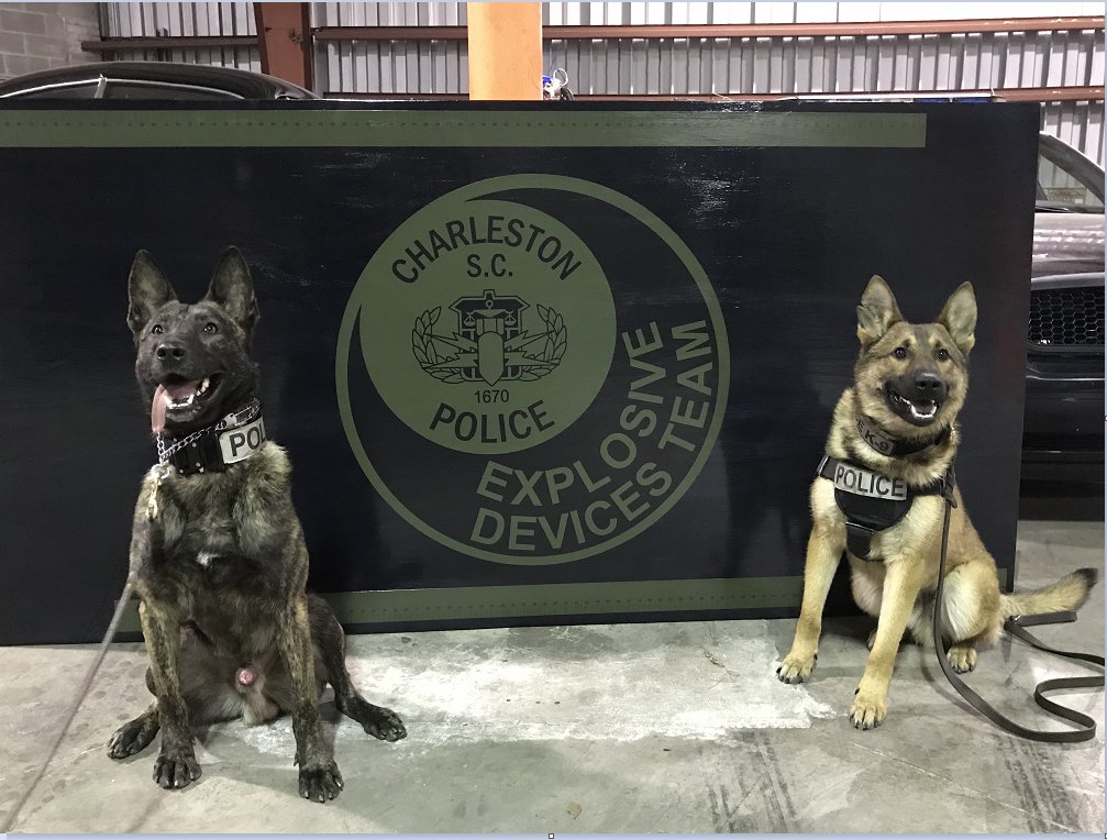 CharlestonPD's tweet photo. We welcome two new officers, Shadow and Xander, to the CPD Team. https://t.co/Cij5EGQPEC
