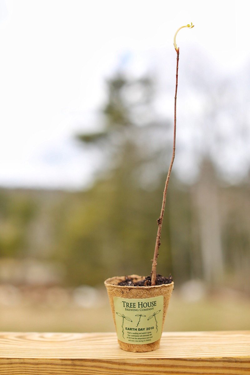 This Thursday, in advance of Earth Day (4/22) &amp; Arbor Day (4/27), we will be donating 1K White Pine And 1K Red Maple seedlings to each guest who wants one. We encourage you to take one, &amp; to choose a place to plant it where it may thrive for your enjoyment for years to come. 🌏