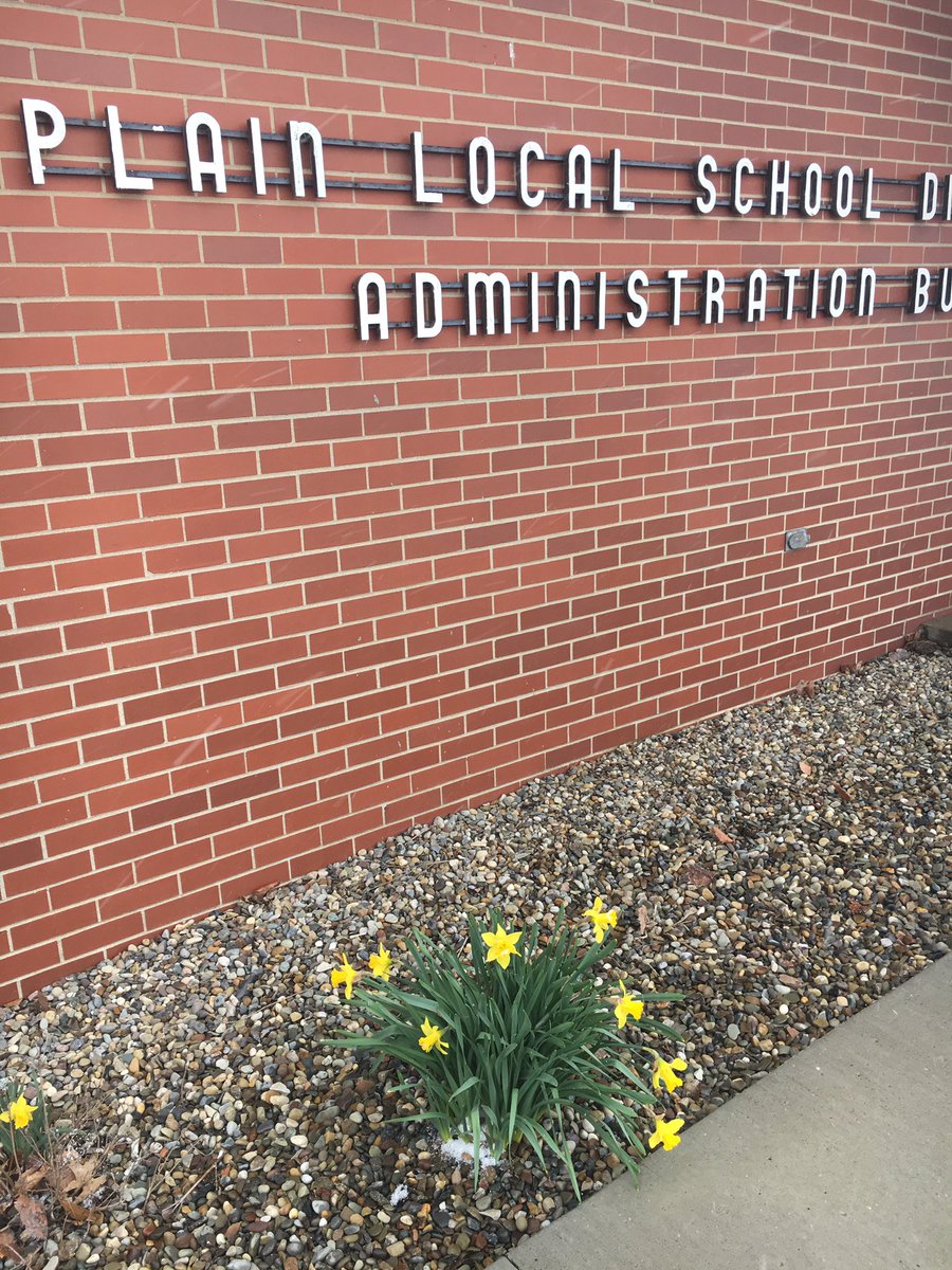 PlainLocal's tweet photo. Baby it's cold outside...but our flowers are still in bloom! ❄️ 💨🌼#SpringtimeInOhio #staywarm https://t.co/a52bEtgOt7