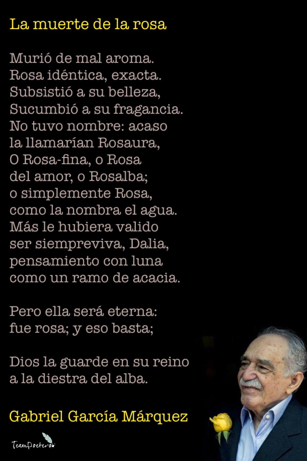 Team Poetero on Twitter: "
