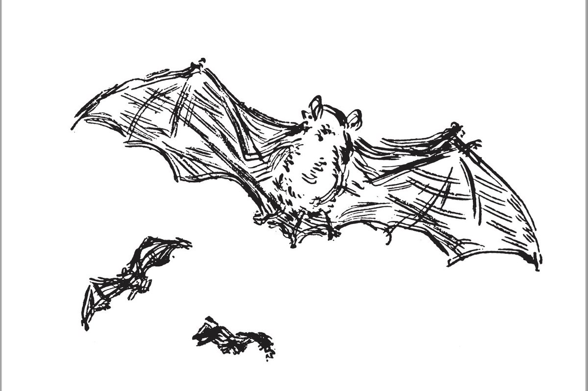 nyrbclassics's tweet photo. "The night has been serving so long that it’s getting worn out." A bit from @julesrenard's Nature Stories in honor of #BatAppreciationDay. (Translated by Douglas Parmée, illustrated by Pierre Bonnard). https://t.co/tlM1gtOP7r https://t.co/iS5iRNNs7v