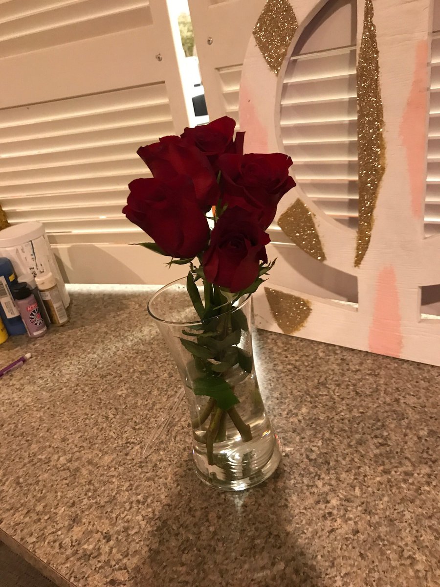 We would like to thank <a href="/WCUpikapp/">Pi Kappa Phi WCU</a> for the beautiful roses❤️❤️ We are very excited to participate in your upcoming philanthropy week!