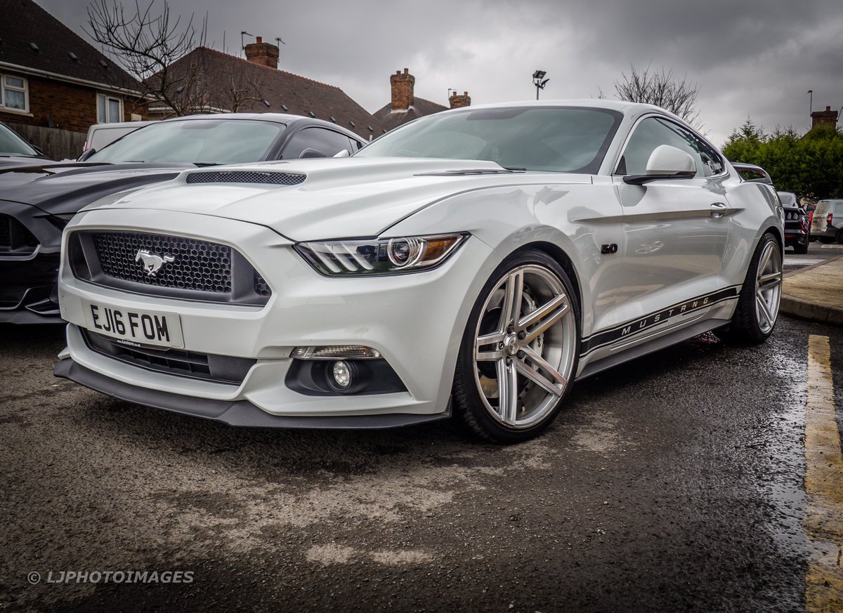 Seeing as it’s #Mustangday
@Cobra3dD @vdstaff58 @VintageLegends @wildbillphoto @68StangOhio @StangTV @TPantginis @fordbecky @jwok_714 @MrJim1973 @TlrWorldWidellc @Surfgirldeb @MY1970MACH1 @AACA_Museum @FordMuscleJP