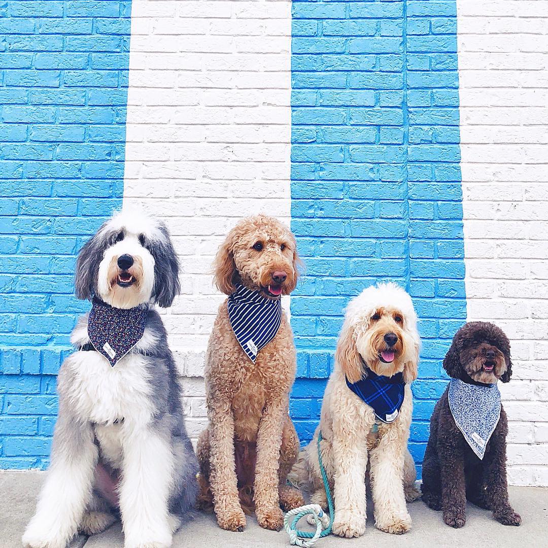 Navy Days tweet media