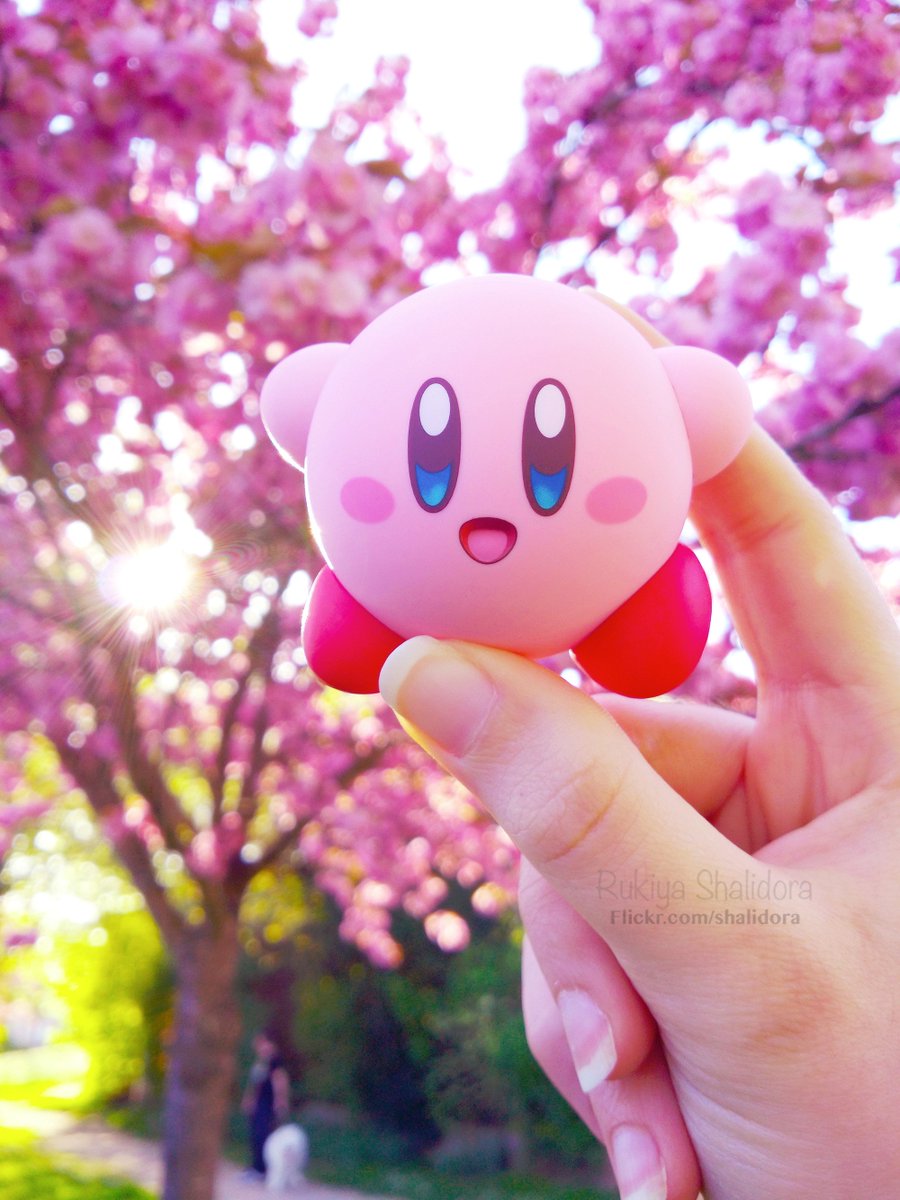 Rukiya_Chan's tweet photo. Attention les yeux, du Kirby du rose des fleurs et du soleil <3
#kirby #nendoroid #nendoroidkirby #Figurines #goodsmilecompany https://t.co/aYegFJFptX