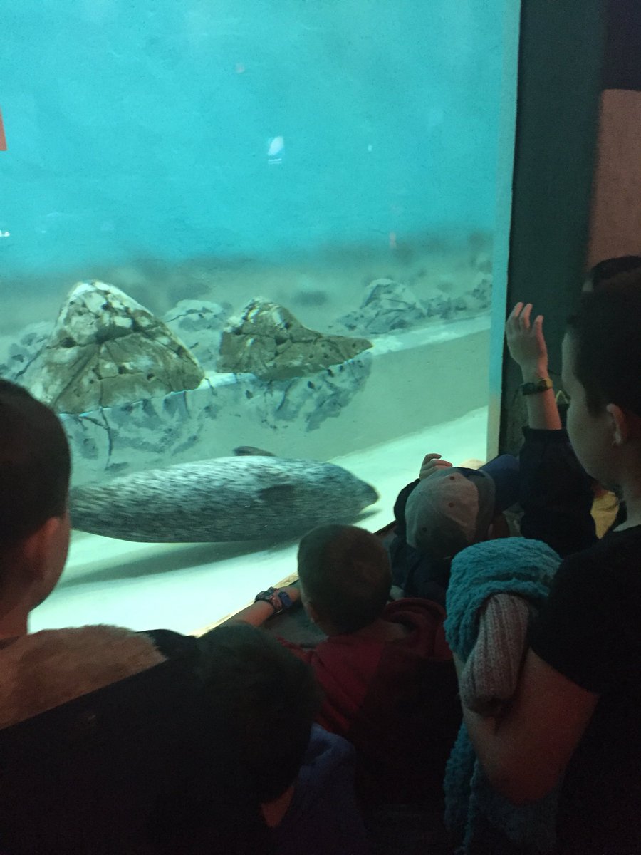Mrs. McIndoe's Class tweet media