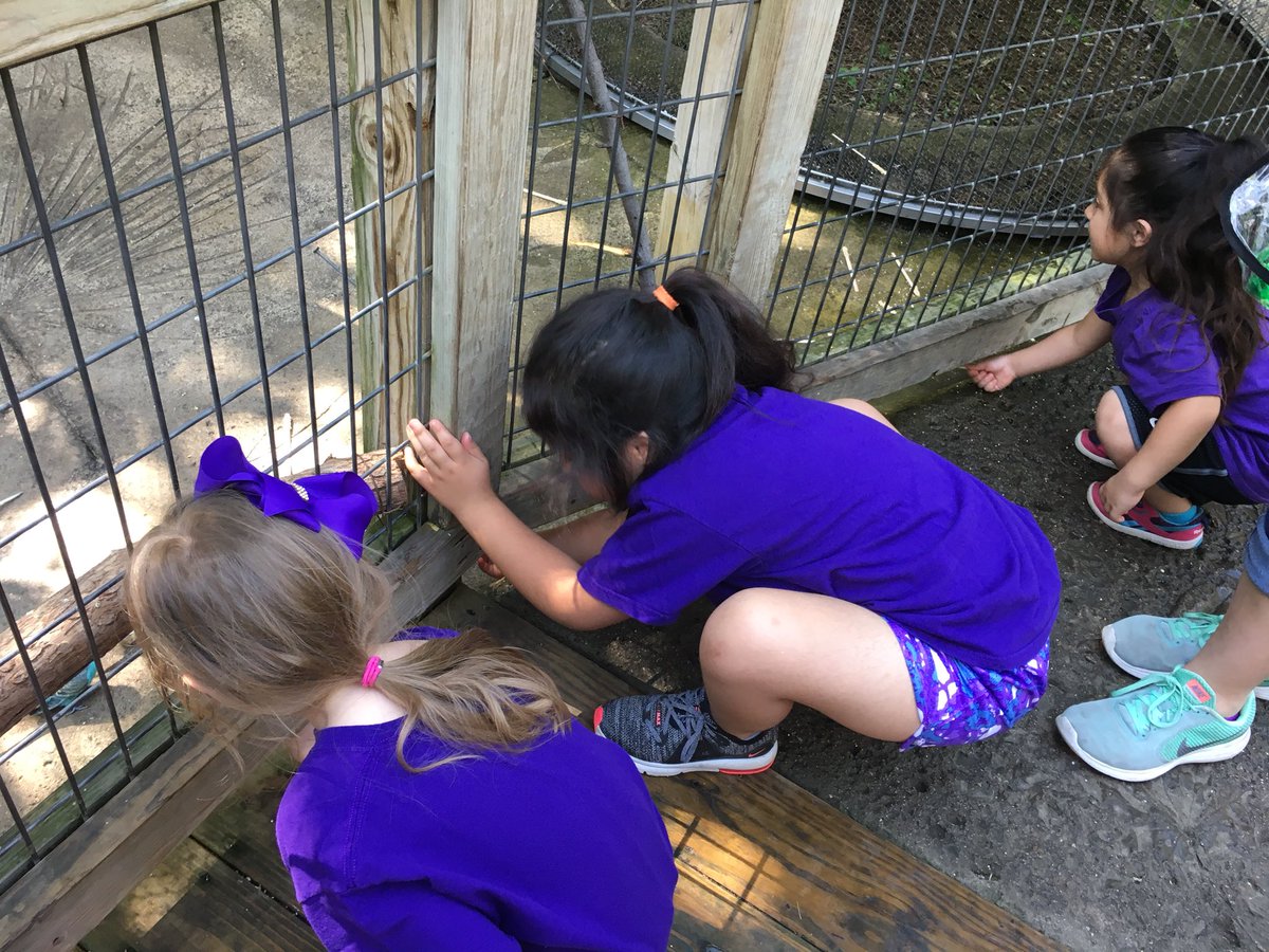 deckinderteach's tweet photo. Real distance learning at the Ft. Worth Zoo with Mrs. Ragle’s Kindergarten!! #Rannlearns @DISDRann https://t.co/ykLfEPfMud
