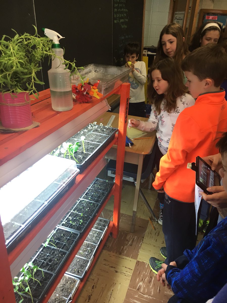 JGeddes56's tweet photo. The seeds are growing well! We can’t wait to plant them outside!! ☀️☀️☀️@KingsvilleCobra @KPSgarden https://t.co/8rM8oCVbht