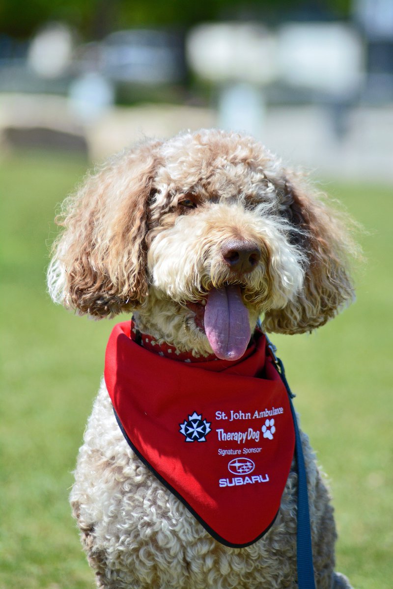 sja_mbntnu's tweet photo. It's National Volunteer Week, and we couldn't do what we do without the hundreds of dedicated volunteers who represent SJA in the community. We are so grateful for each and every one! https://t.co/qbtrdkKqUQ