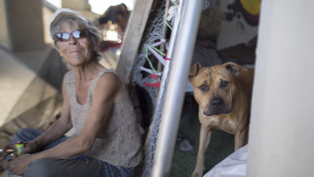 El número de personas sin hogar crece como nunca antes en Estados Unidos. uni.vi/9L1y30jwgUR