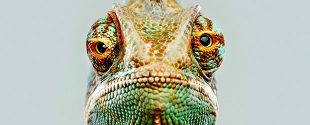 gbltd's tweet photo. Check out our latest blog post...."Brand Positions That Adapt to Multiple Markets".....https://t.co/K5fOvUqegf https://t.co/s6Cqxx29hW