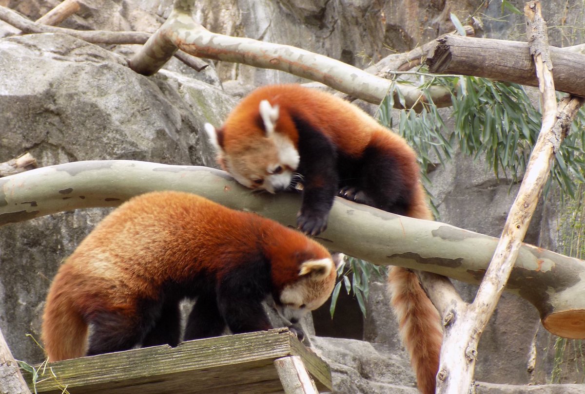 When your girl pays attention to food and not you