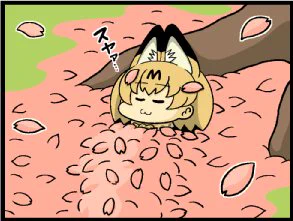 画像 / Picture