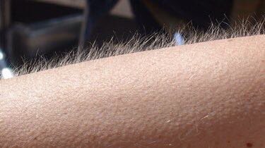 “BENVENUTI AL GRANDE FRATELLO” #GF15