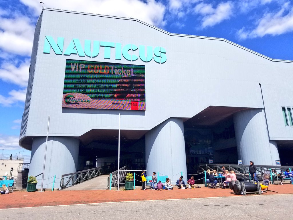 NuckolsNews's tweet image. Thanks @NauticusNorfolk for an awesome field trip! #handsonlearning at its best! 4th graders were excited to explore the #USSWisconsin as well! Thankful for our service members past and present 🇺🇸 @vbschools @pmesvb