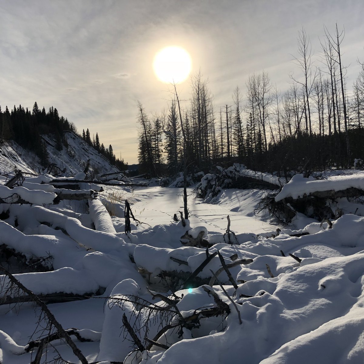 🌅Snow Blindness🌅