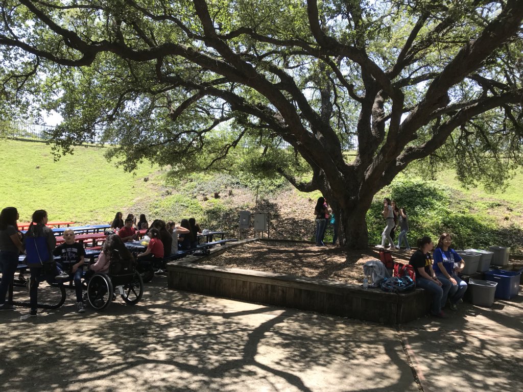 gonzalezr_77's tweet photo. @TexanCultures @wmsrangers Great day to be in S.A. #7thgrade https://t.co/ylmJEC88Bk