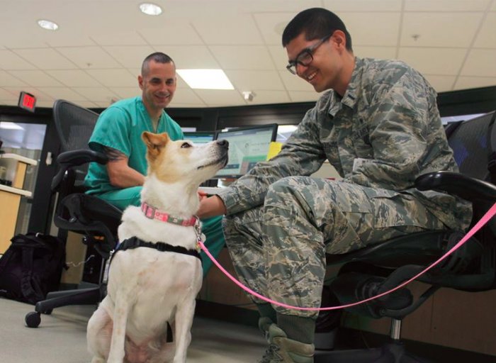 Bell-Anderson, LLC tweet media