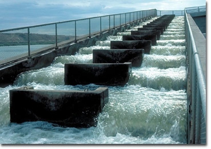 NOAAHabitat's tweet photo. Removing dams helps fish migrate; structures like fish ladders or elevators help fish get where they need to go too. That makes for #happyfish! See NOAA's work: https://t.co/mK5ExNf9em #WorldFishMigrationDay https://t.co/0yb9AbOuxi