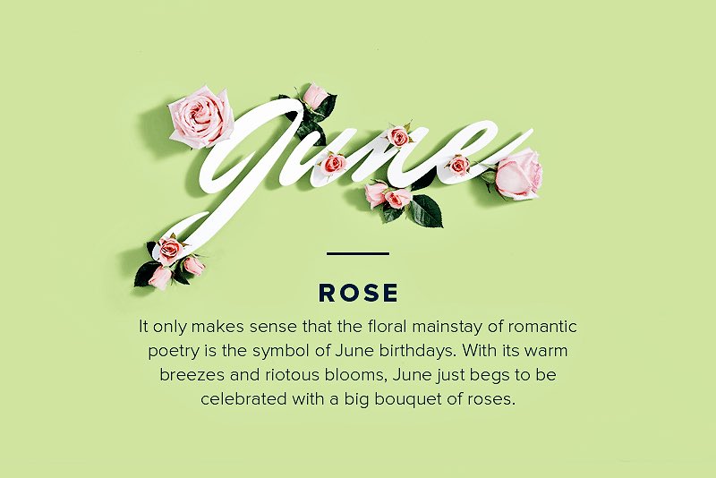 frankiieG15's tweet photo. My birth flower 🌹 #JuneBirthFlower #JuneBaby https://t.co/4ivgkd9SmX
