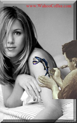 Wahoo Coffee tweet media