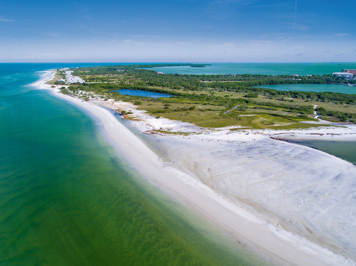 VisitSPC's tweet photo. #DYK? Honeymoon Island got its name from a @LIFE Magazine contest for newlyweds in 1939; couples won a two-week honeymoon stay on the island. How's that for a romantic getaway?! 👰🤵☀️🌴#LiveAmplified #LoveFL  #TuesdayThoughts https://t.co/opOW1gSUKN