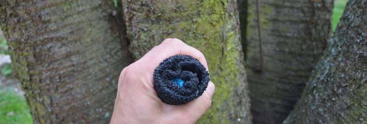barfussshop's tweet photo. Neuer #Test: #Skinners https://t.co/HZGZpDpqDF #barfußschuhe #barefootshoes #barefootsocks #shoesocks #review #produktvorstellung #gofreeconcepts https://t.co/amL9Wsmas7