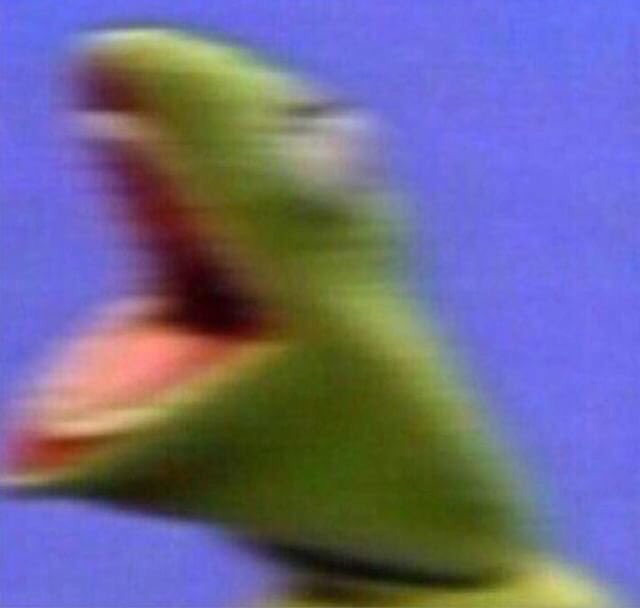 "comme même"
"sa va?
"si j'aurais su"
"au jour d'aujourd'hui"
"ils croivent"
"bonne anniversaire"