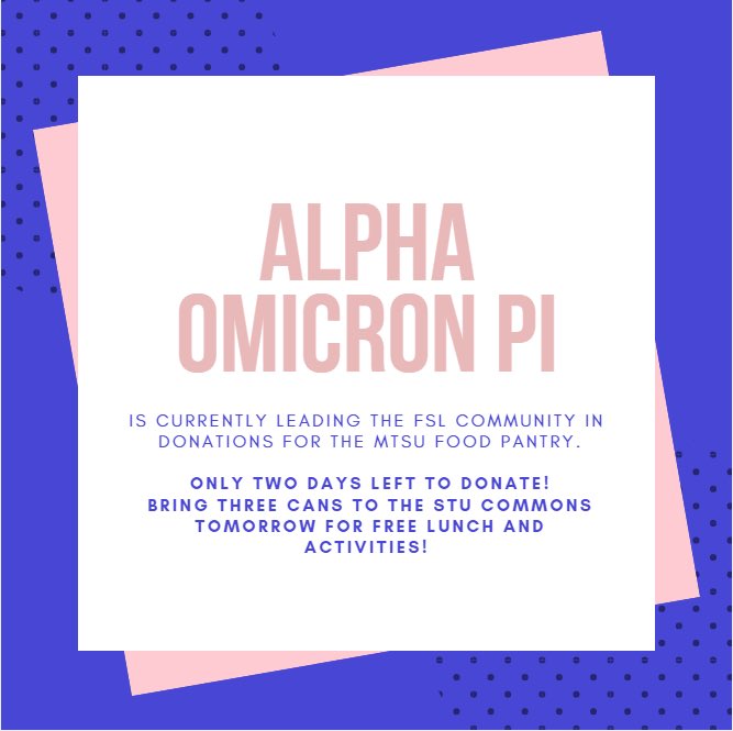 AOII is in the lead! Get your food donations to the STU Commons, only two days left!