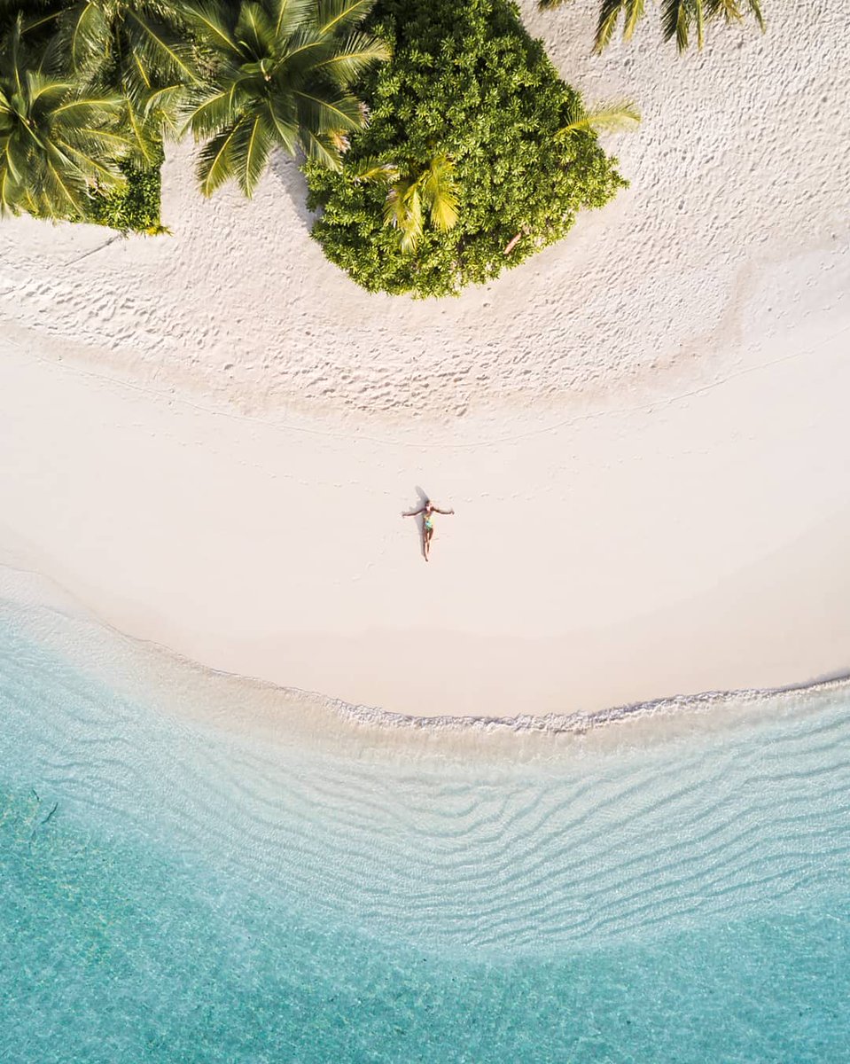 ChristineWedbrg's tweet photo. Give me palm trees, an ocean breeze, salty air &amp; sunkissed hair 🌴✨ Please... 😜🙏

#Travel #Maldives #IslandLife https://t.co/REmLATDFJL