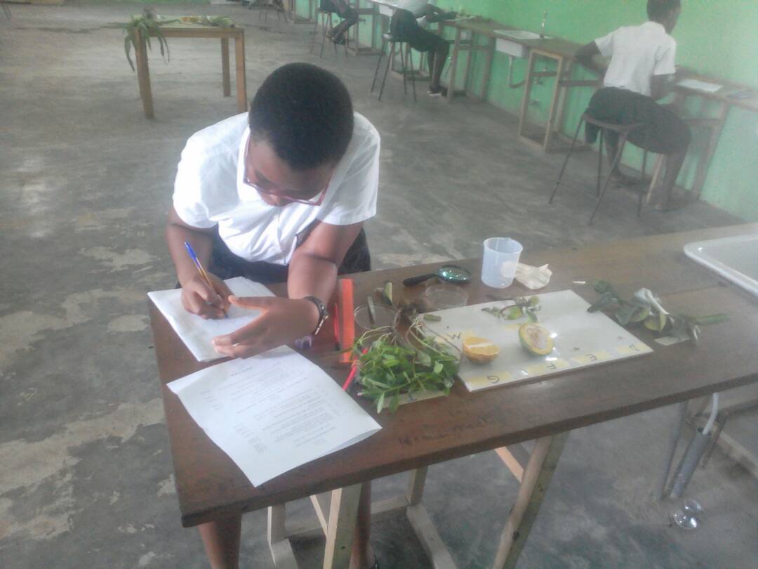 EDP_Trust's tweet photo. A number of our students are completing their biology practicals as part of the WASSCE qualifications #goodluck #exams #WASSCE https://t.co/vIlUSThiVM