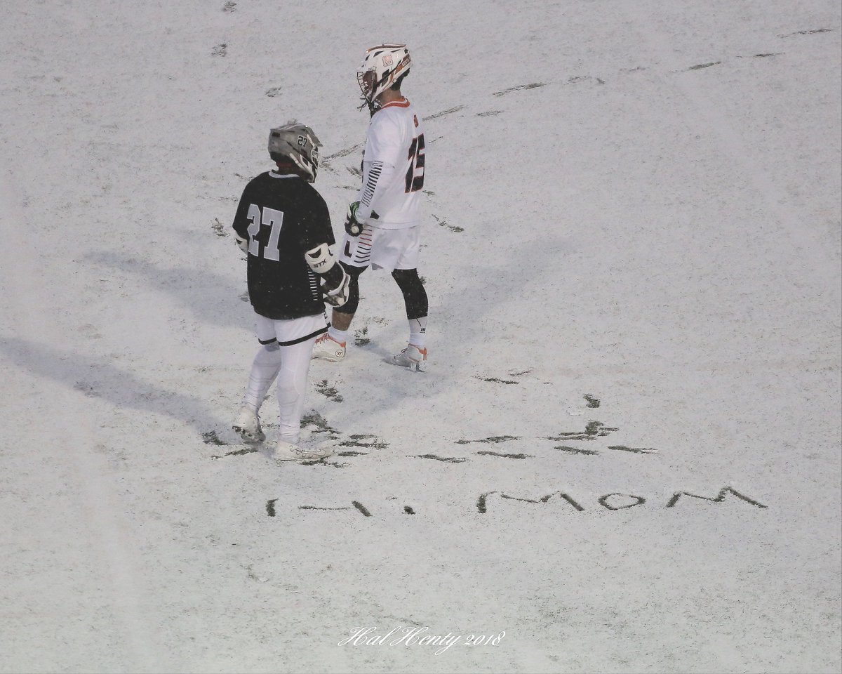 Hal Henty tweet media