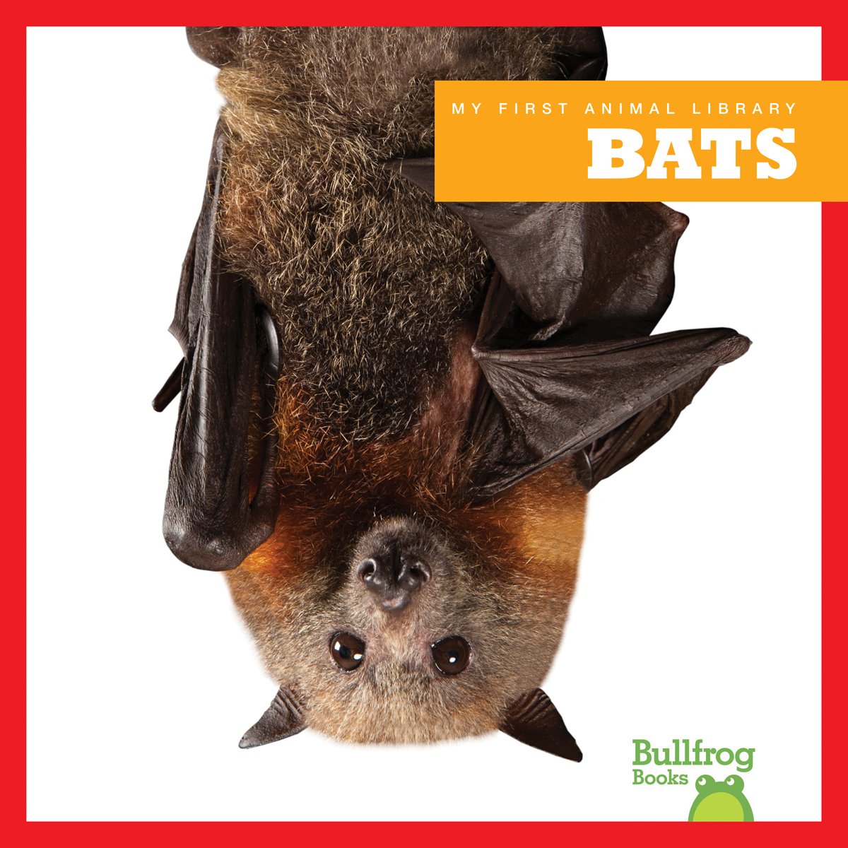jumplibrary's tweet photo. Did You Know? Bat droppings, known as guano, are one of the richest fertilizers for plants in the world. Guano was once Texas’ largest mineral export before oil! #thatiscool #batsarecool #batappreciationday #savethebats #batsarealsoscary https://t.co/wn10Mfe6uF